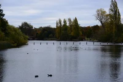 DSC_0554 (Large).JPG